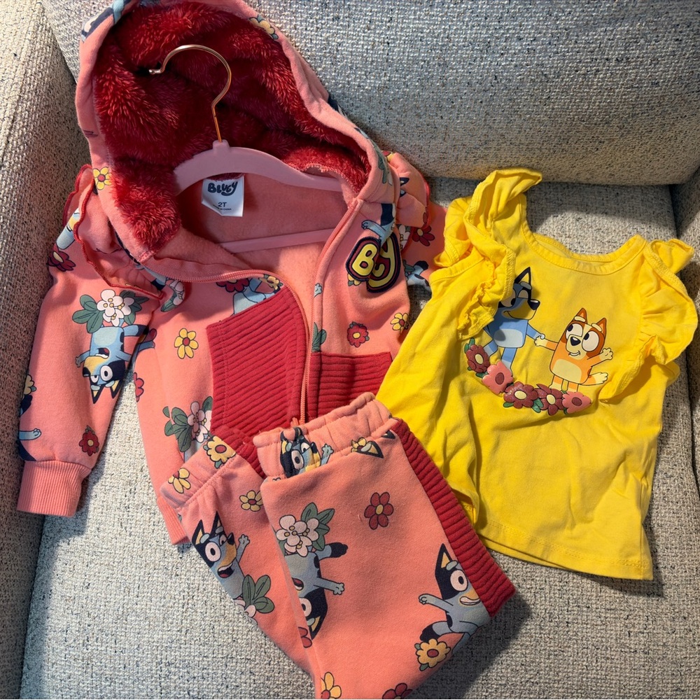 Bluey Hoodie Set & Tee
